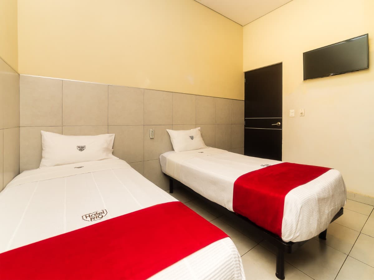 Estandar Twin imagen 3